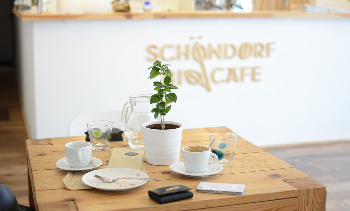 Schoendorf Bio Cafe in Bratislava | Pixi mit Milch