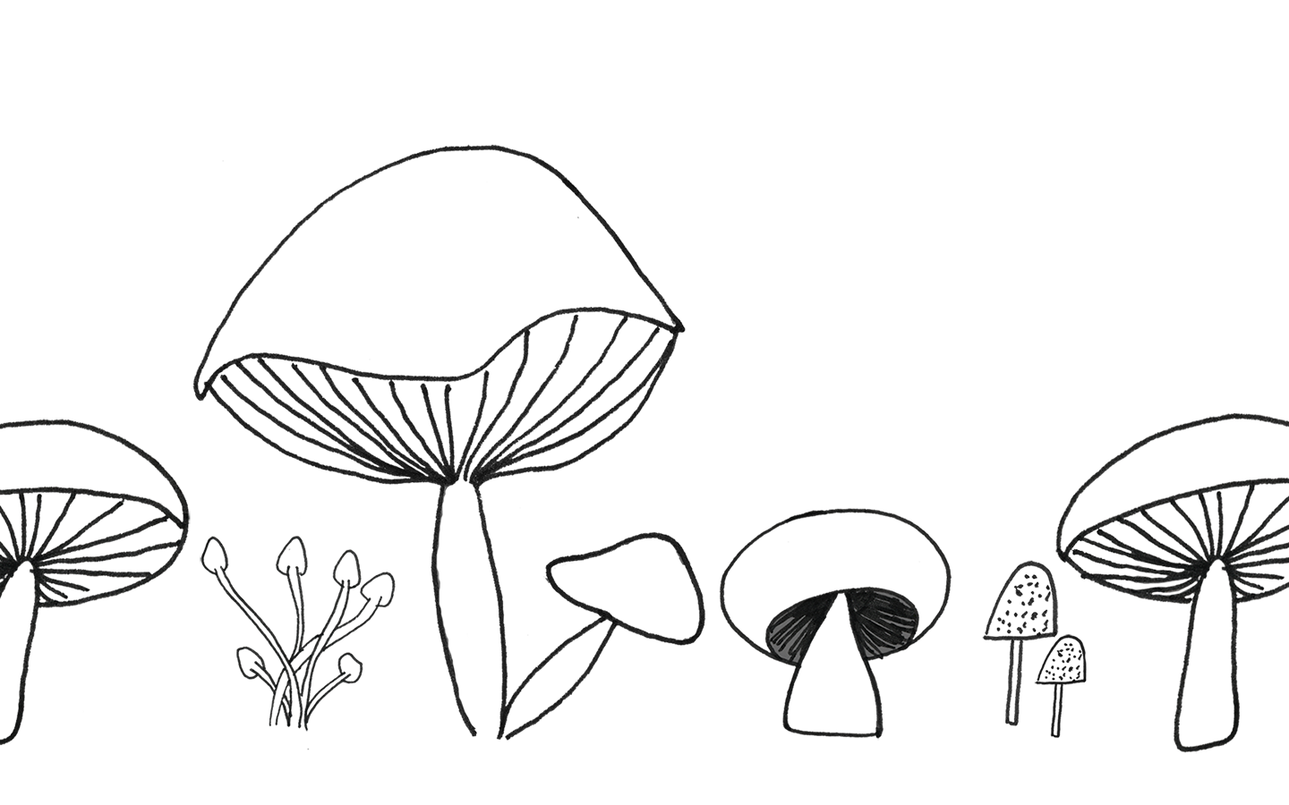 Mushroom-Wallpaper_1440
