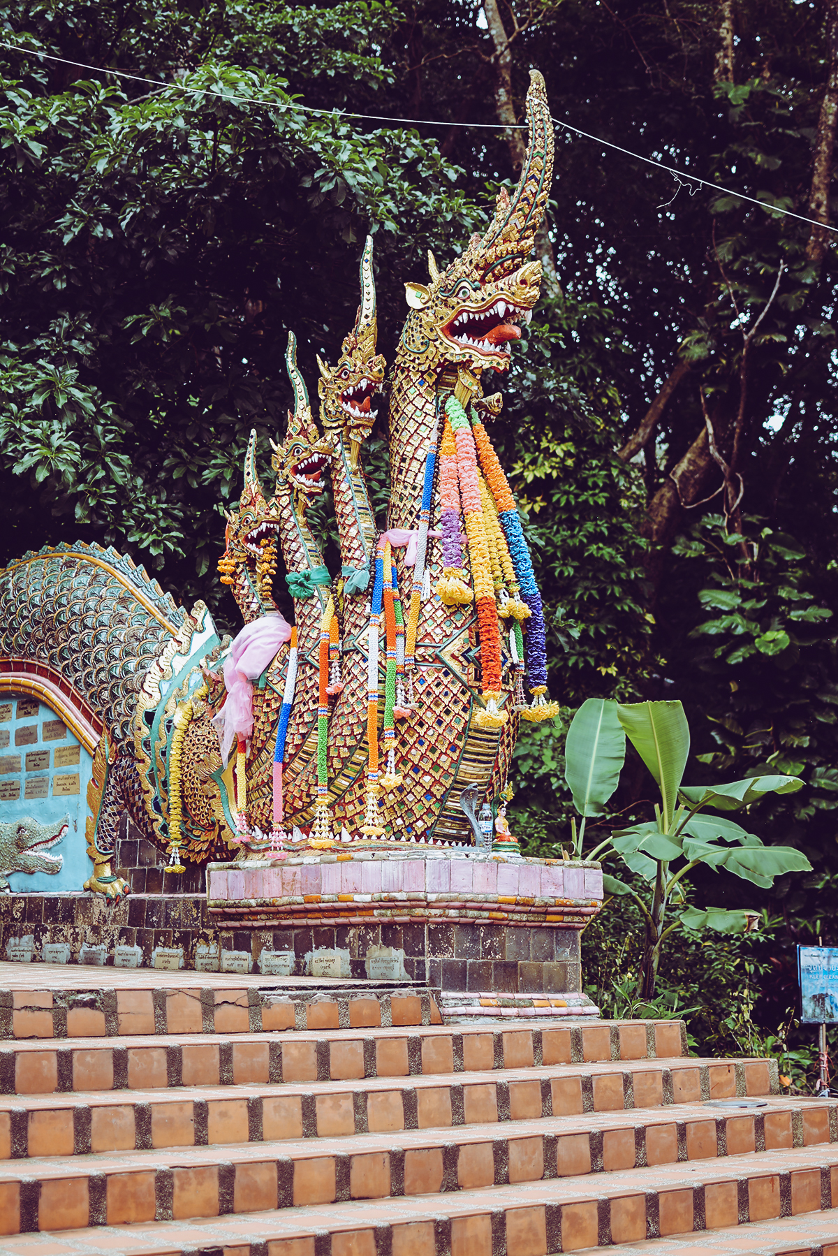 Wat Phra That Doi Suthep: Stiege | Pixi mit Milch