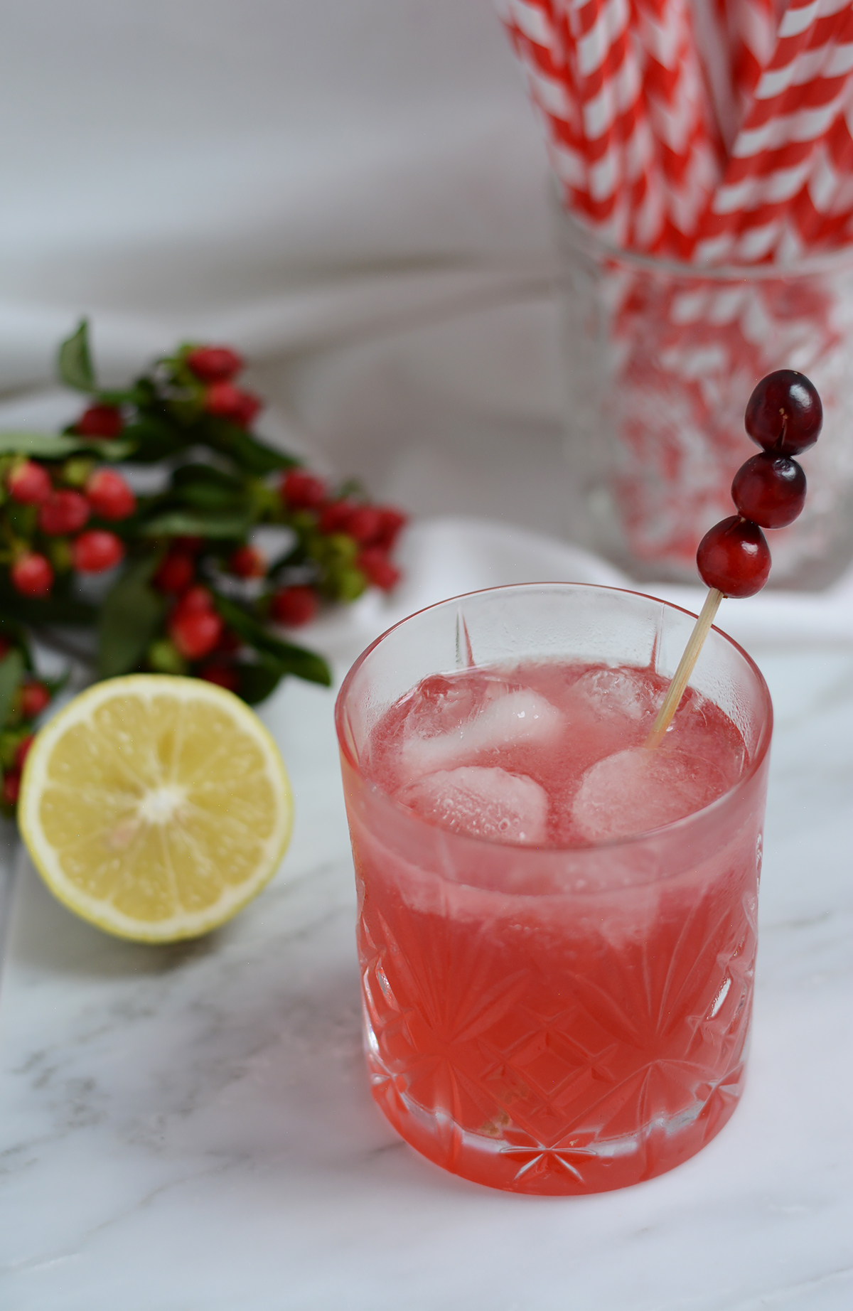 Cranberry-Mule Recipe | Pixi mit Milch