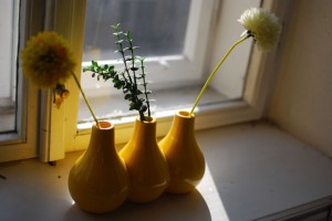 Vasen in der Sonne