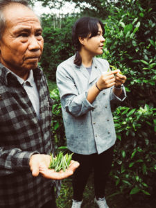 Araksa Teeplantage Thailand | Pixi mit Milch