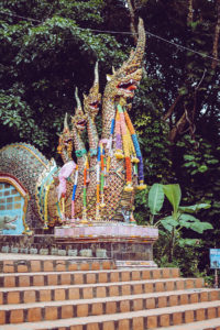 Wat Phrathat Doi Suthep: Stiege | Pixi mit Milch