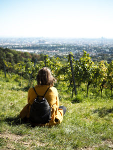 Tipp: Weinwandern Wien | Pixi mit Milch